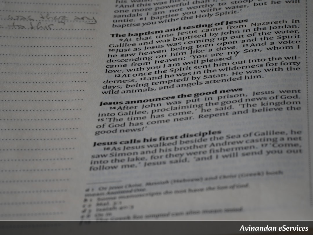 NCERT Explained: Class VII Science, Chapter 11 - Transportation in Animals and Plants