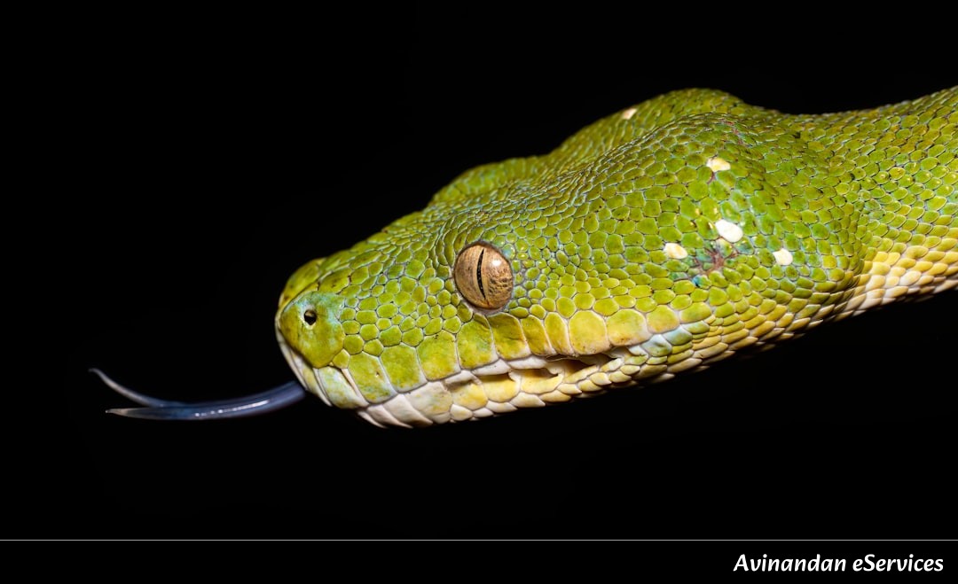 Why Do Some Snakes Have 'Spectacles' on Their Eyes?: A Science Chat with Vikram and Ananya