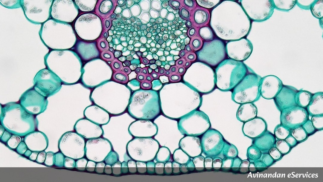 Why Do Some Plants 'Shatter' Their Own Pods?: A Science Chat with Aarav and Saanvi