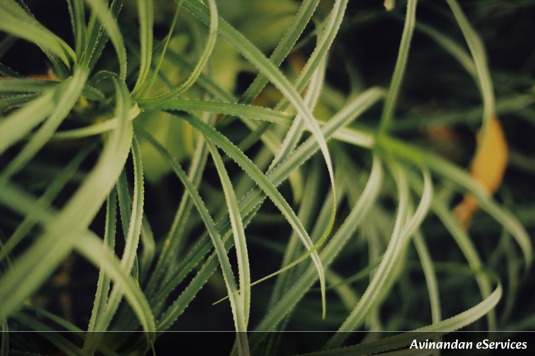 Why Do Some Plants 'Scream' Using Ultrasound?: A Science Chat with Arjun and Saanvi