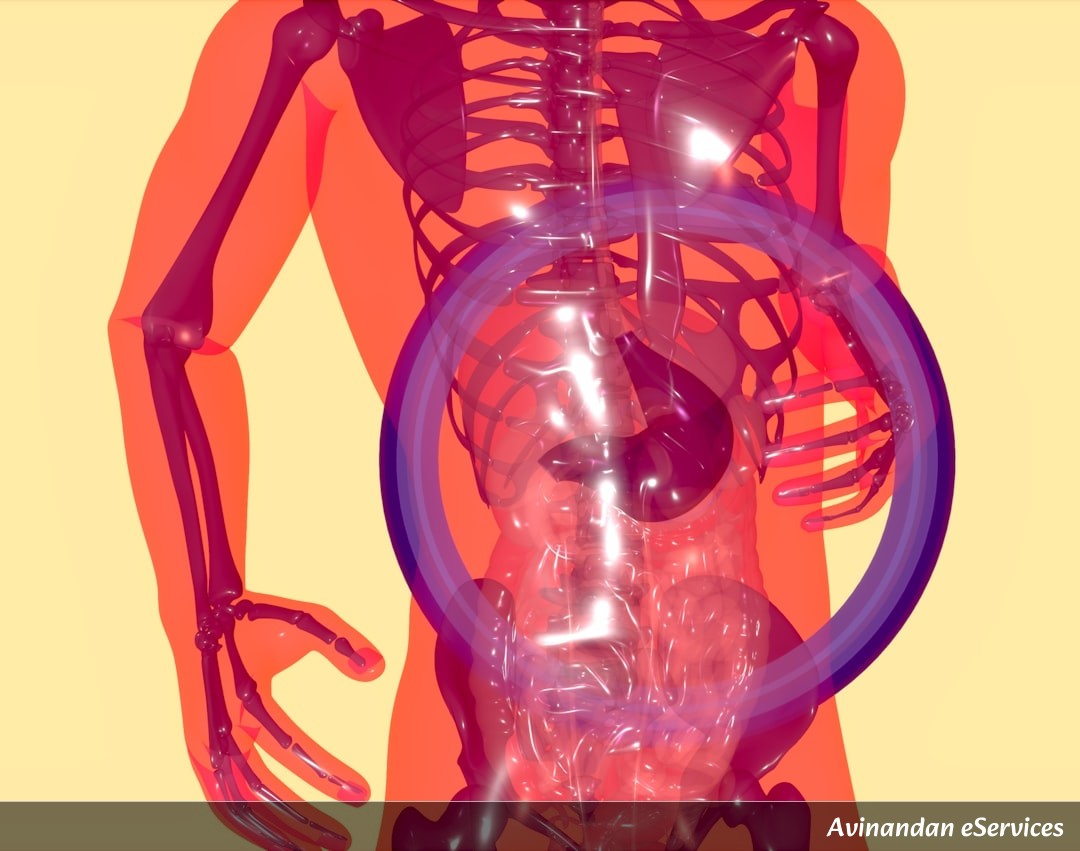 RRB NTPC & Group D Biology: Master the Human Excretory System – A Complete Guide