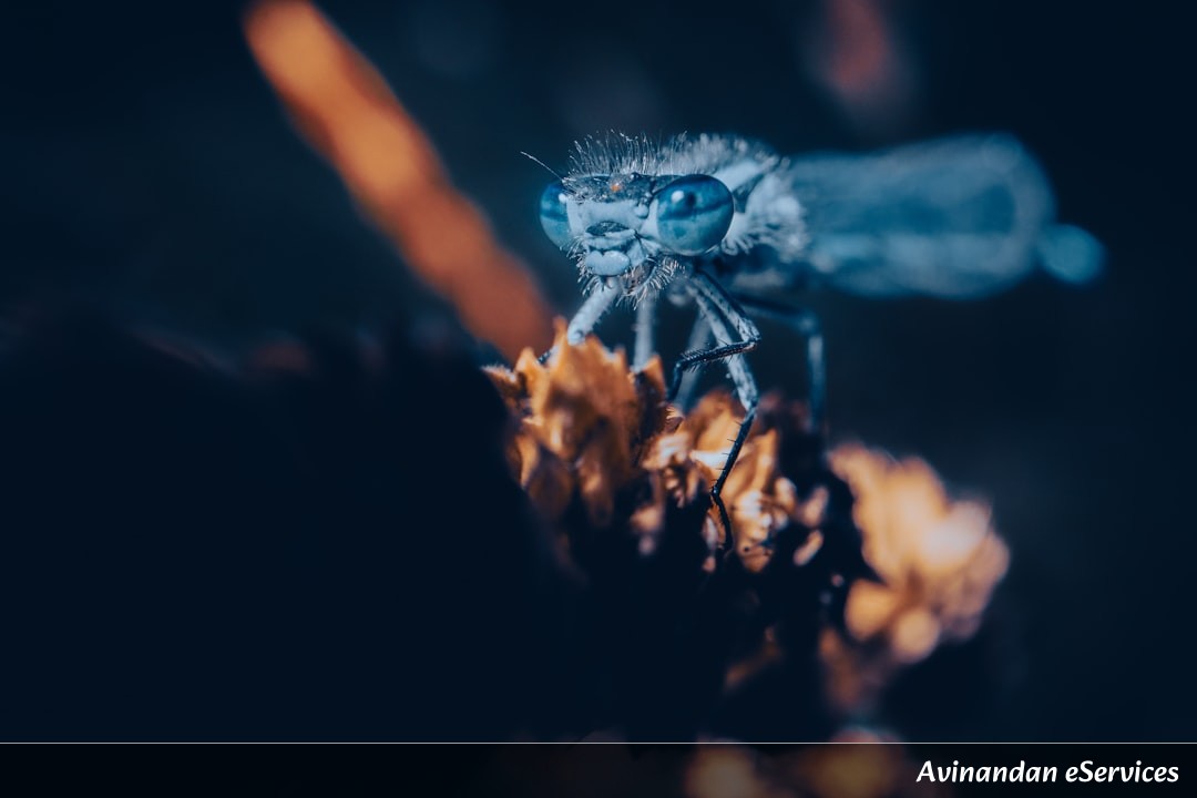 Why Do Some Insects Actually 'Freeze-Dry' Their Own Babies?: A Science Chat with Rohan and Mira