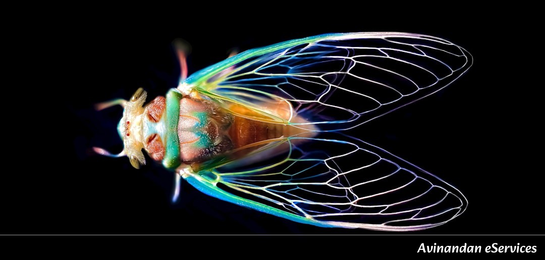 Why Do Some Insects Actually Have 'Built-in' Air Conditioning?: A Science Chat with Arjun and Zara