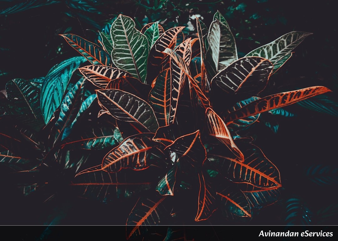 Why Do Some Plants 'Calculate' Their Own Sleep? A Science Chat with Rohan and Ananya