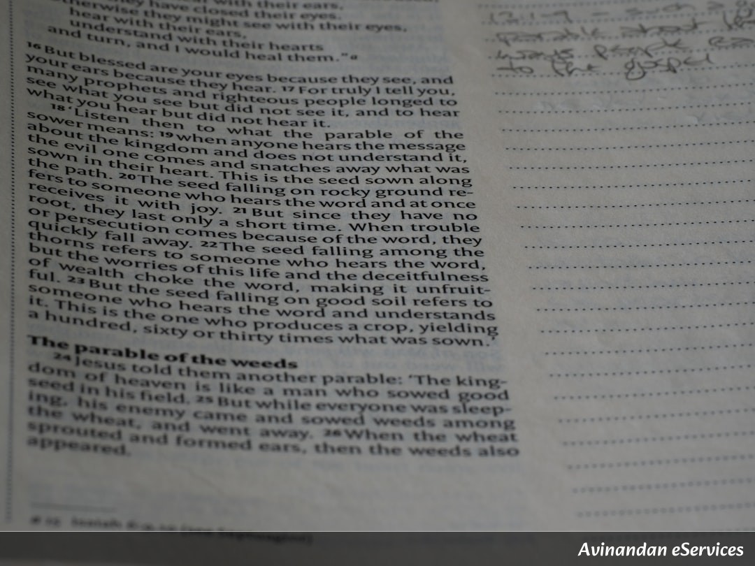NCERT Explained: Class XII History, Theme 10 - Colonialism and the Countryside