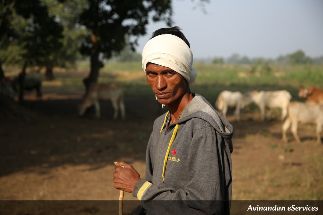 NCERT বিস্তারিত ব্যাখ্যা: একাদশ শ্রেণি অর্থনীতি, অধ্যায় ৬ – গ্রামীণ উন্নয়ন (Rural Development)