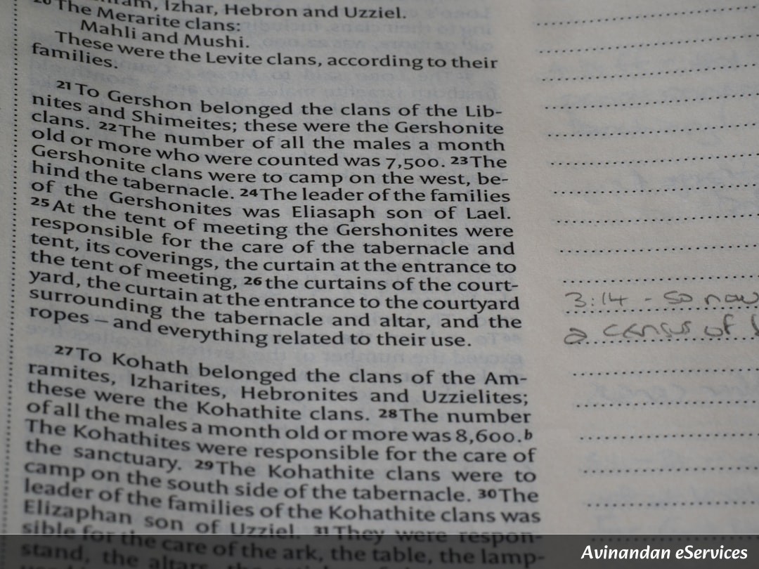 NCERT Explained: Class VIII History, Chapter 4 - Tribals, Dikus and the Vision of a Golden Age