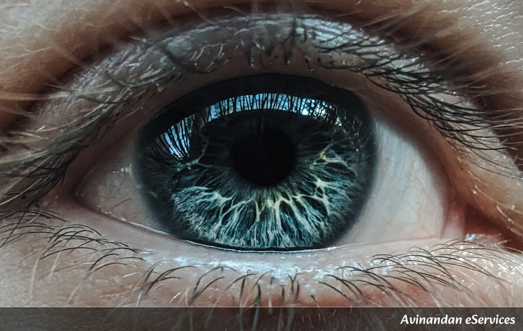 NCERT Class 10 Science Chapter 10: The Human Eye and the Colourful World - Master Study Guide