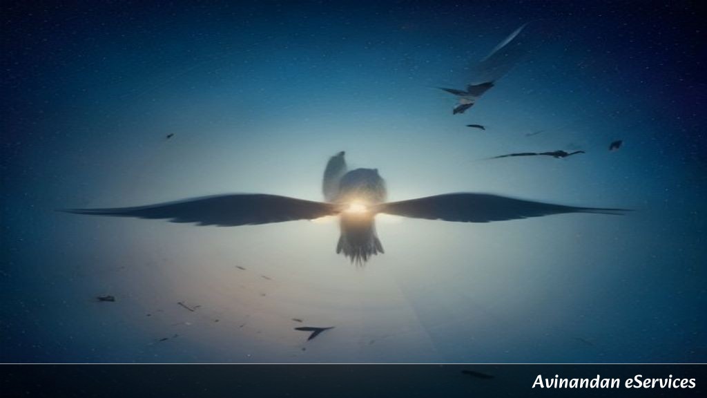 Why Can Some Tiny Birds 'Sleep-Walk' While Flying?: A Science Chat with Kabir and Isha