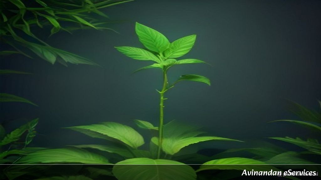 RRB NTPC & Group D Biology: Master the Plant Kingdom Classification – Complete Guide